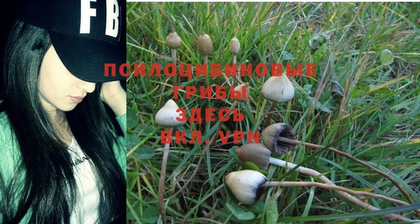 мефедрон Белокуриха