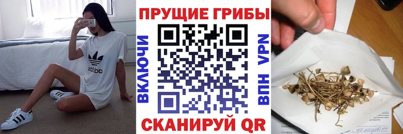 что такое   Дубовка  кракен зеркало  Псилоцибиновые грибы прущие грибы 
